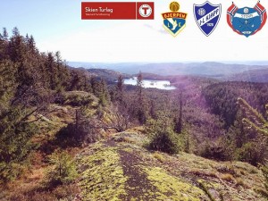 Svanstul med logoer
